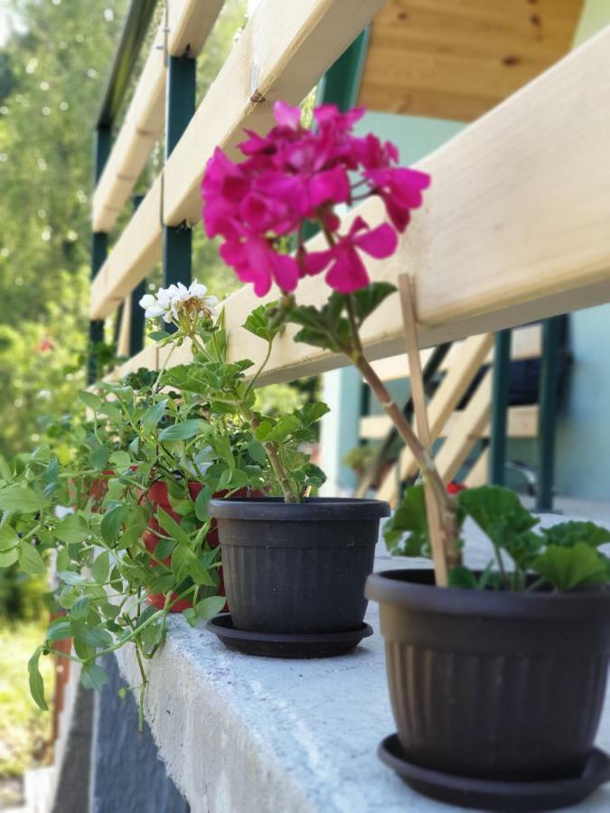 Apartmani Mir Žabljak Zewnętrze zdjęcie